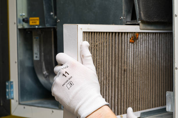 Best Ventilation Cleaning Services  in Rincon Valley, AZ
